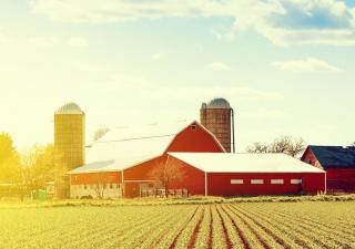 Farm Sitting