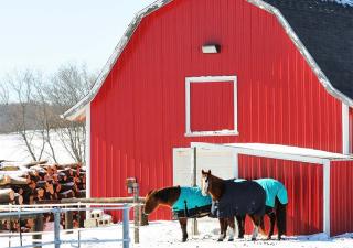 Winter barn