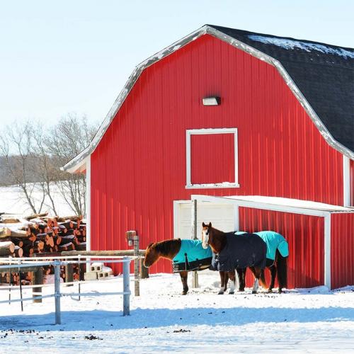 Winter barn