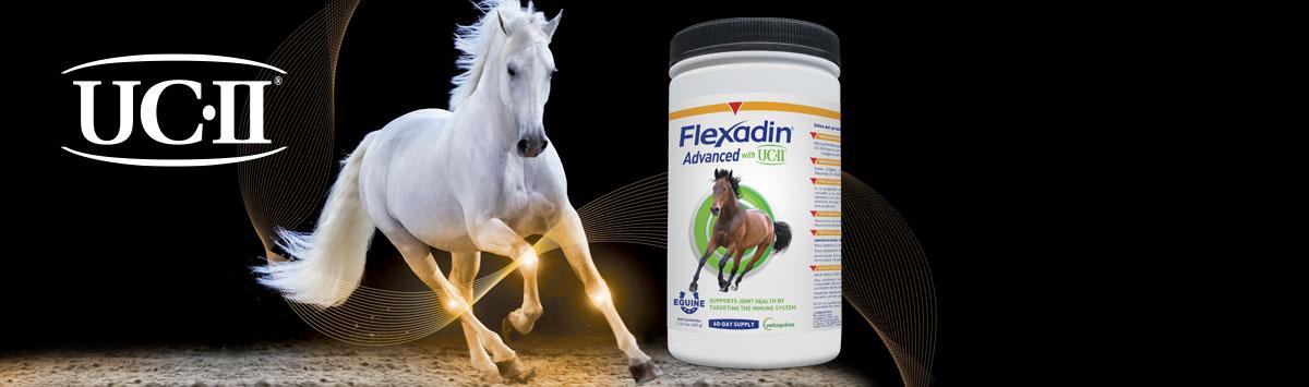 Flexadin® Advanced with UC-II®